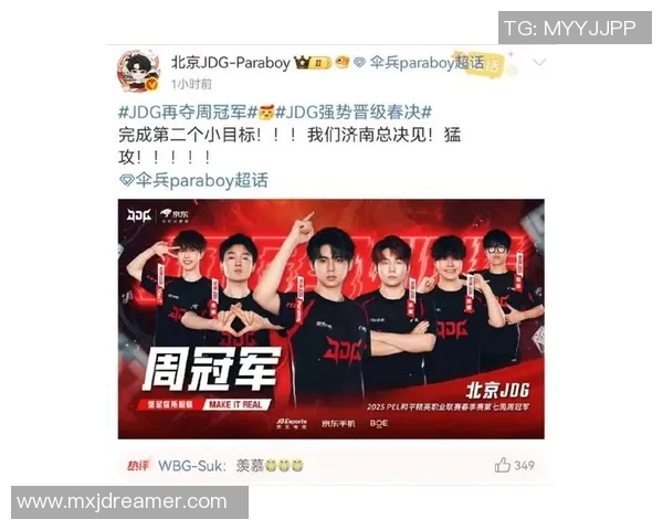 和平精英战场分析：JDG战队进攻策略的优劣势探讨与总结