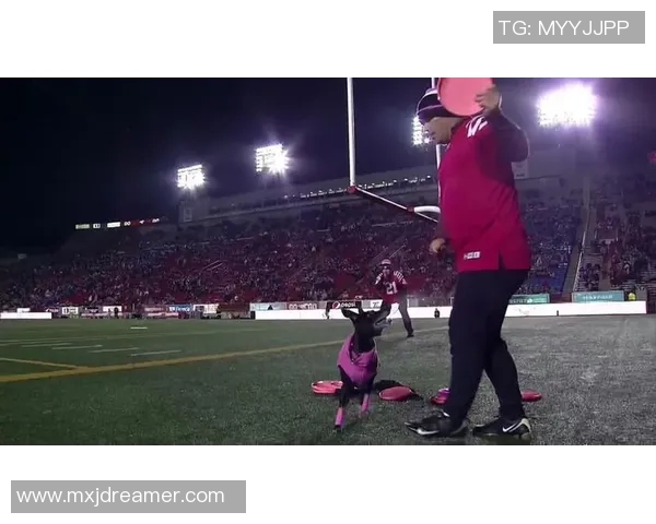 武汉飞盘队区域防守战术解析与实战应用探讨 武汉飞盘队区域防守战术解析与实战应用探讨