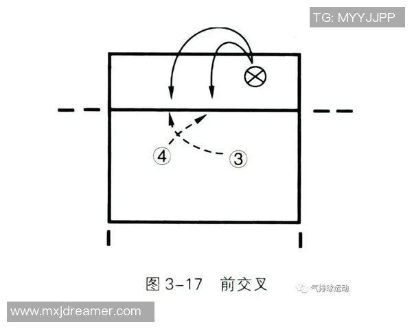南京排球队的战术分析与控制能力的得失探讨