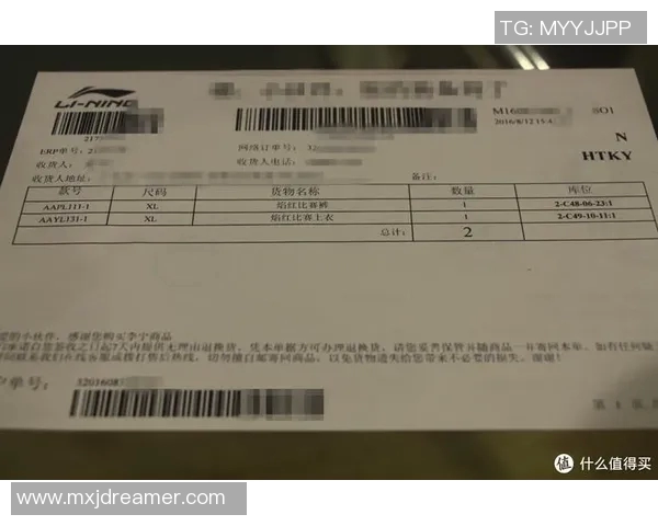 南京羽毛球队实力深度解析与其他球队的比较分析